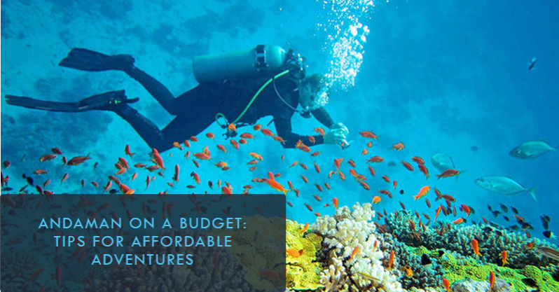 Andaman on a Budget: Tips for Affordable Trave_airticketone.com